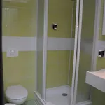 Green Hotel Budapest 4* Budapešť