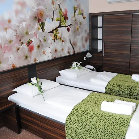 Green Hotel Budapest 4* Budapeşte