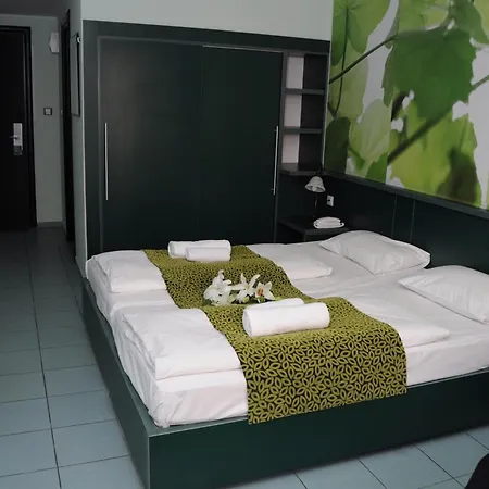 Hotel Green Hotel Budapest 4*